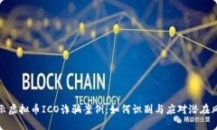 揭示虚拟币ICO诈骗案例：