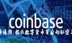 虚拟币通缉：揭示数字货