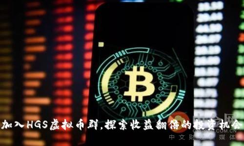 加入HGS虚拟币群，探索收益翻倍的投资机会