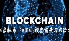 揭秘虚拟币 PeiPei：投资前