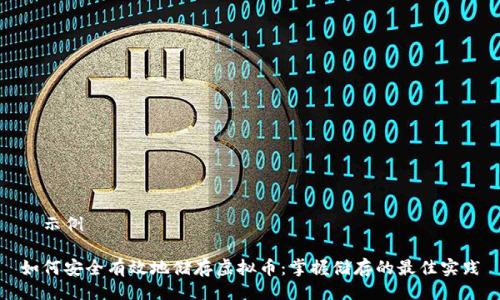 —示例—

如何安全有效地储存虚拟币：掌握储存的最佳实践