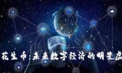 探索花生币：未来数字经