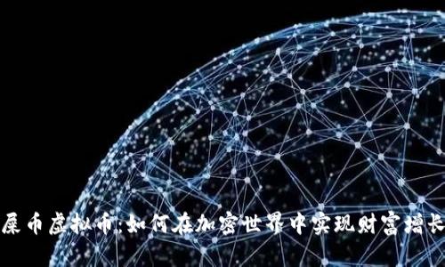 屎币虚拟币：如何在加密世界中实现财富增长