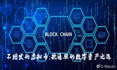 不增发的虚拟币：抗通胀