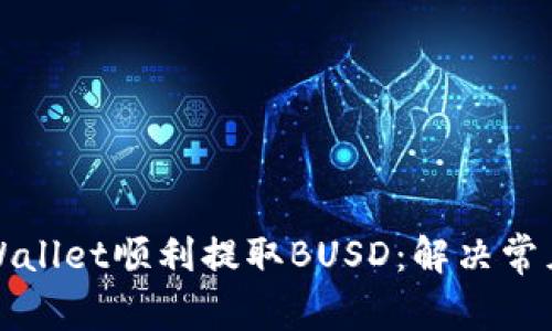 如何通过TPWallet顺利提取BUSD：解决常见问题和技巧
