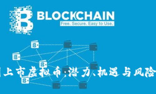 中国上市虚拟币：潜力、机遇与风险分析