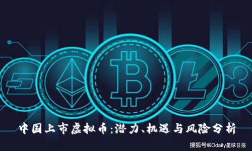 中国上市虚拟币：潜力、机遇与风险分析