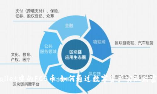 TPWallet中的FCB币：如何通过数字资产实现财富增值