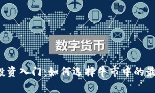 虚拟币投资入门：如何选择牛市中的最佳币种？