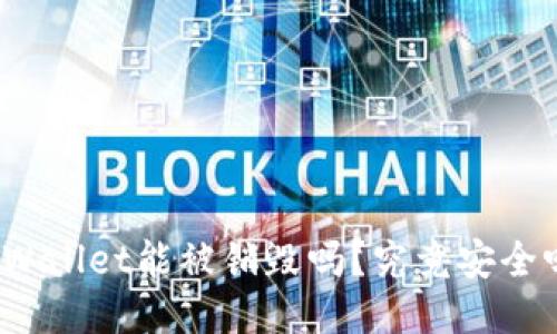 TPWallet能被销毁吗？究竟安全吗？