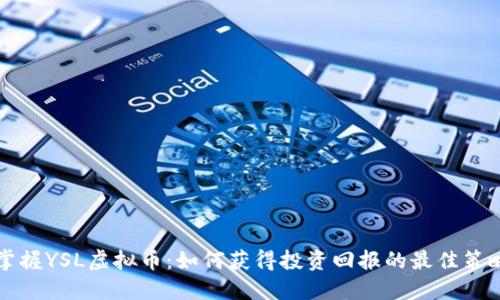 掌握YSL虚拟币：如何获得投资回报的最佳策略