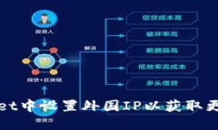 如何在TPWallet中设置外国IP以获取更多区块链服务
