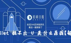 波场 TPWallet 提不出 U 是什