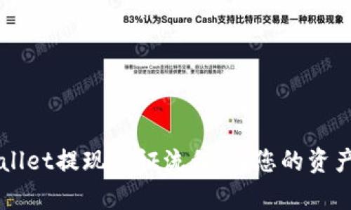 深入解析TPWallet提现认证流程：让您的资产更加安全无忧