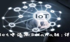 如何在TPWallet中添加Solana链：详细步骤与说明