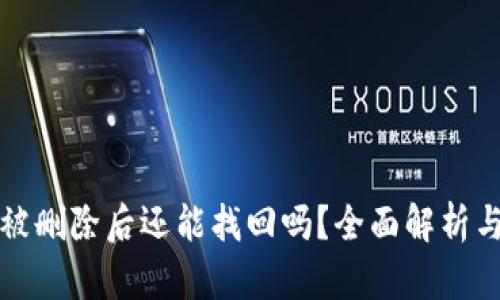 tpwallet被删除后还能找回吗？全面解析与解决方案