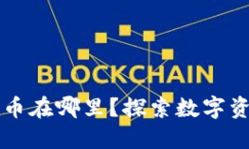 TPWallet兑换的币在哪里？探索数字资产的流动与管理