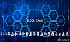 2023年虚拟币价格暴涨背后