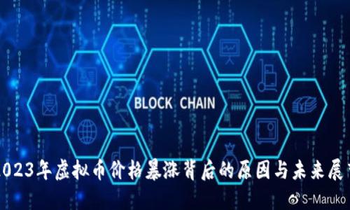2023年虚拟币价格暴涨背后的原因与未来展望