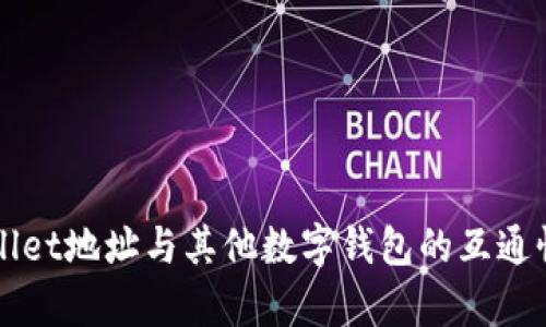 TPWallet地址与其他数字钱包的互通性解析