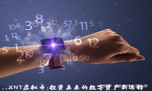 
XNT虚拟币：投资未来的数字资产新选择