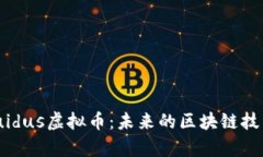 深入探索Liquidus虚拟币：未