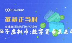 探索柚子虚拟币：数字货