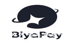 TPWallet代币详解：为何它是