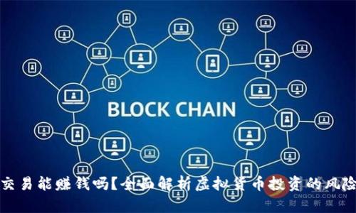 虚拟币交易能赚钱吗？全面解析虚拟货币投资的风险与机遇